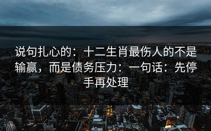 说句扎心的：十二生肖最伤人的不是输赢，而是债务压力：一句话：先停手再处理